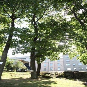 Kaupunkikeinut - city swings