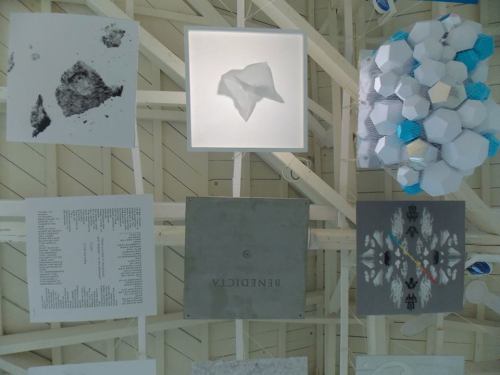 10154321_623154494439237_1025565121_n