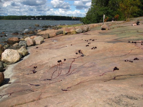 BeforeBlueberryMelts2