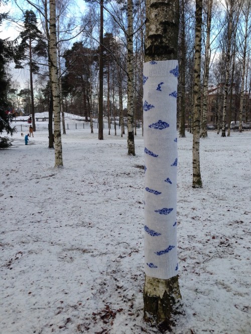 katrihelena(koivu100)