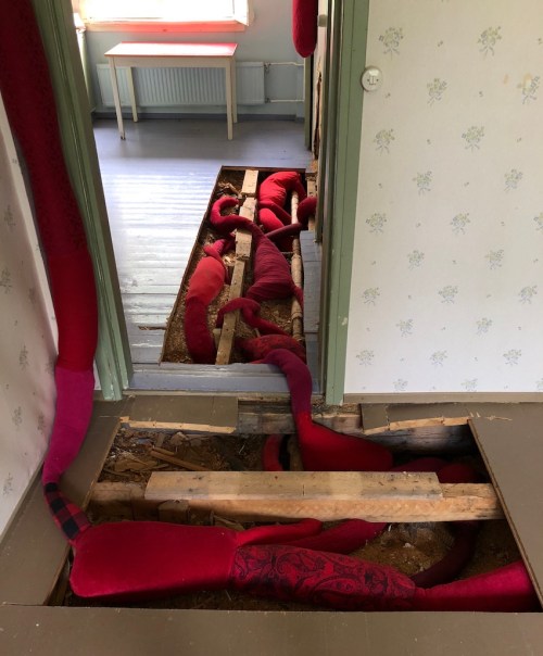 ääliö_5906_small